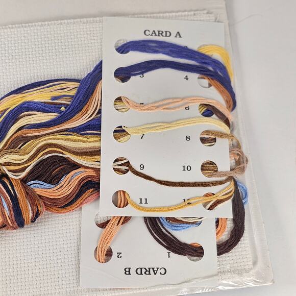 Cross Stitch Kit Jesus Portrait of Christ 6x8 Sealed 2006 Linda Gillum Janlynn - Picture 6 of 14